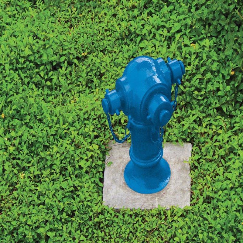 Ace Rust Stop Gloss Safety Blue Protective Enamel Spray Paint 15 oz, Pack of 6