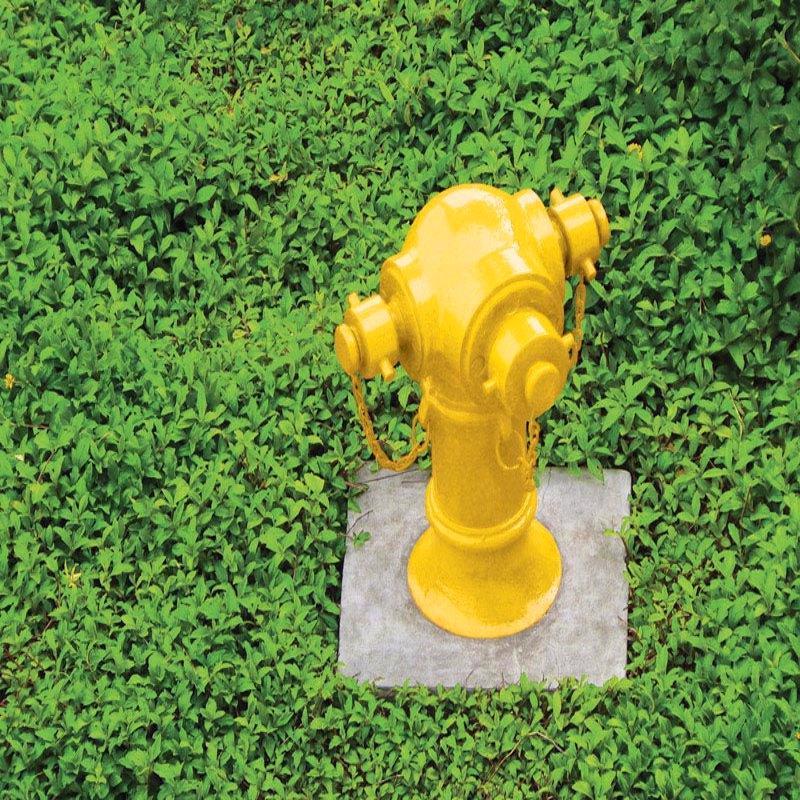 Ace Rust Stop Gloss Safety Yellow Protective Enamel Spray Paint 15 oz, Pack of 6