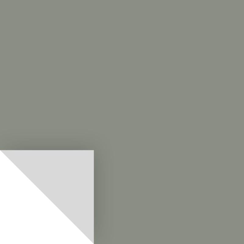 Samplize Benjamin Moore Carolina Gull Peel & Stick Color Sample 2138-40, Pack of 8