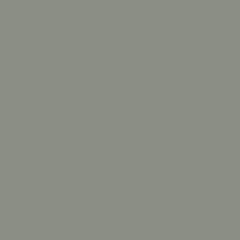 Samplize Benjamin Moore Carolina Gull Peel & Stick Color Sample 2138-40, Pack of 8