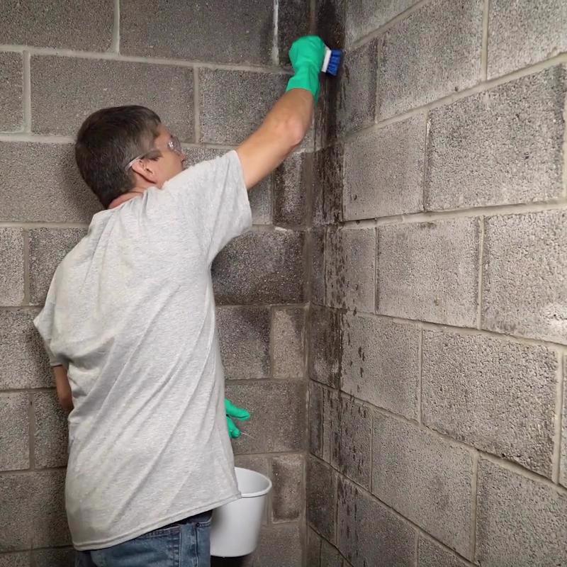 Cantex 2 in. D PVC Electrical Conduit Elbow For PVC 1 each