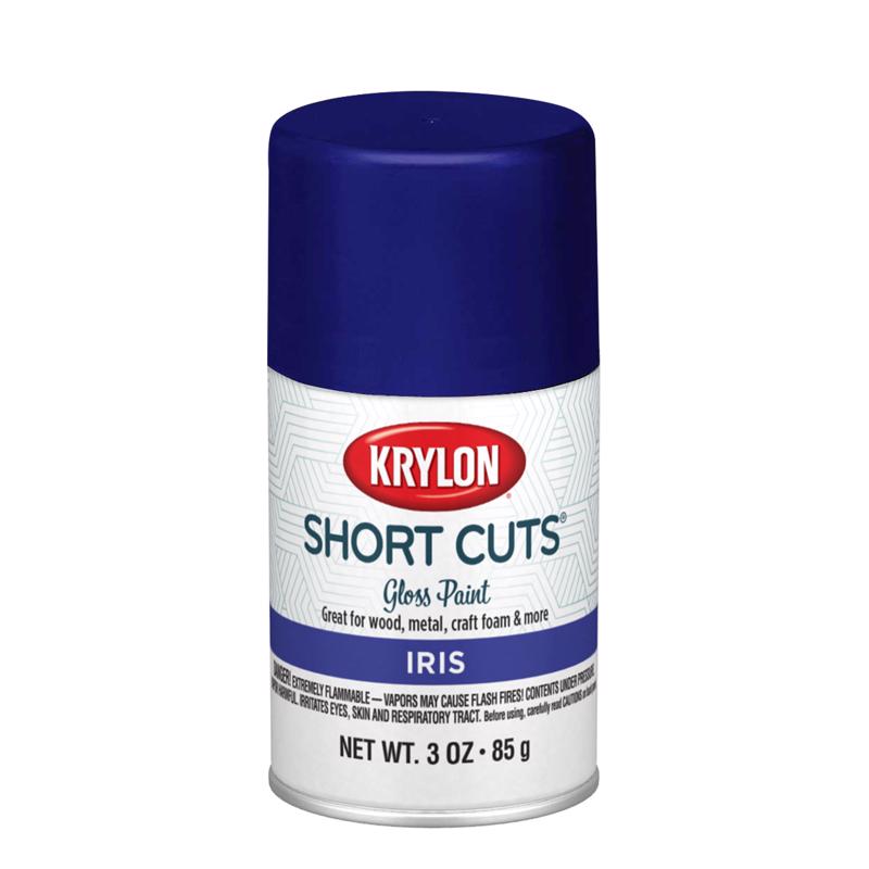 Krylon Short Cuts Gloss Iris Spray Paint 3 oz, Pack of 6