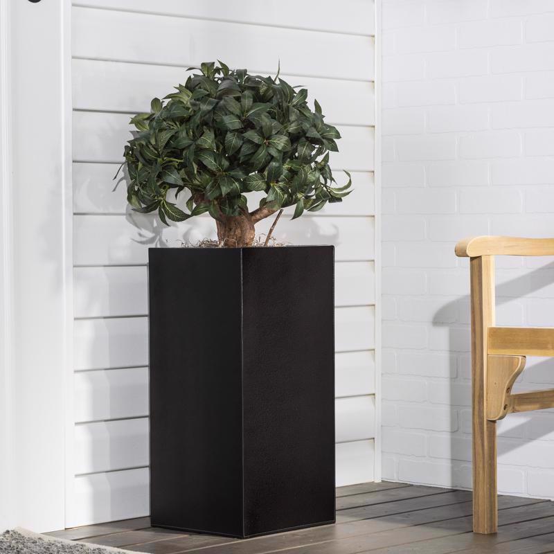 Globe Electric Vintage 1-Light Oil Rubbed Bronze Roth Wall Sconce