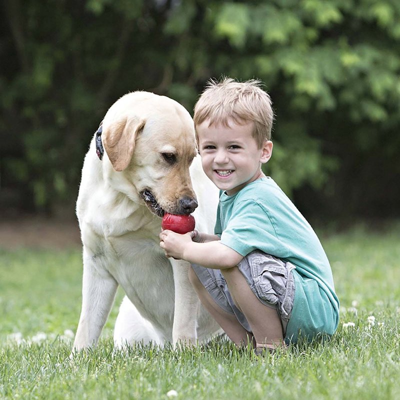 Kong Classic T2 Dog Toy, M, Rubber, Red