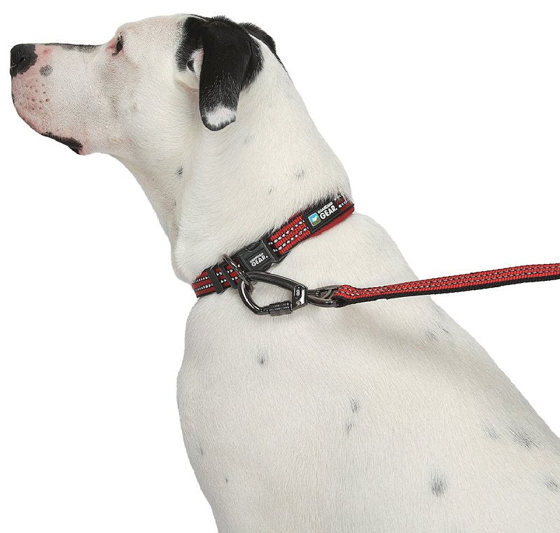Guardian Gear ZA0006 12 83 Dog Collar, O-Ring Link, 12 to 83 in L Collar, Nylon, True Red