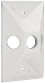 Hubbell 5189-6 Cluster Cover, 4-19/32 in L, 2-27/32 in W, Rectangular, Zinc, White, Powder-Coated