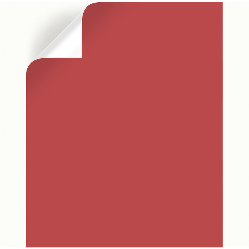 Magnolia Home by Joanna Gaines Vine Ripened Tomato Peel & Stick Color Sample, Pack of 25