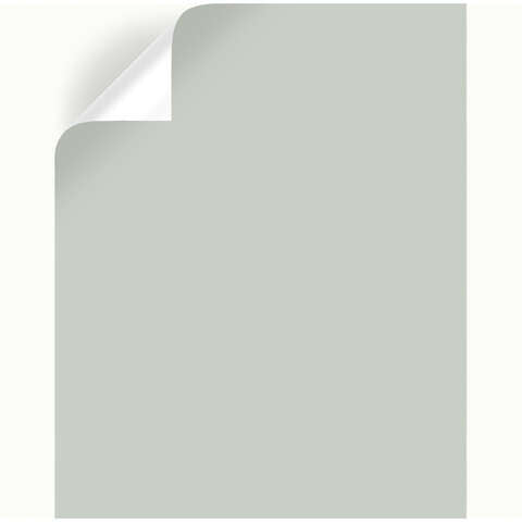 Magnolia Home by Joanna Gaines Emmie's Room Peel & Stick Color Sample, Pack of 25