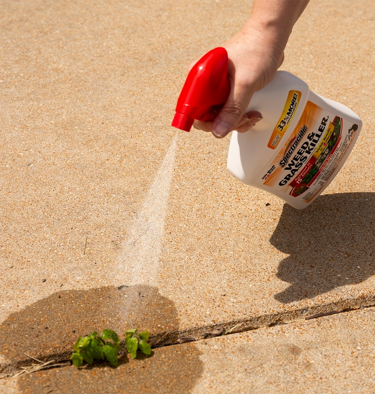 Spectracide HG-96428 Weed and Grass Killer, Liquid, Amber, 32 oz Bottle
