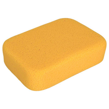 QEP No Scent Grout Cleaner 1 ct Sponge