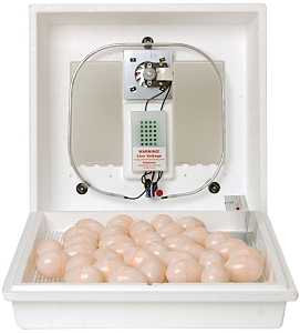 Little Giant 10300 Egg Incubator, 41 Large Chicken Eggs Egg, 99.5 deg F, Styrofoam