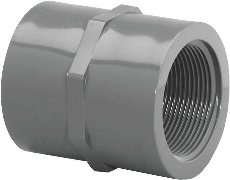Lasco 830007BC Pipe Coupling, 3/4 in, FIP, PVC, SCH 80 Schedule