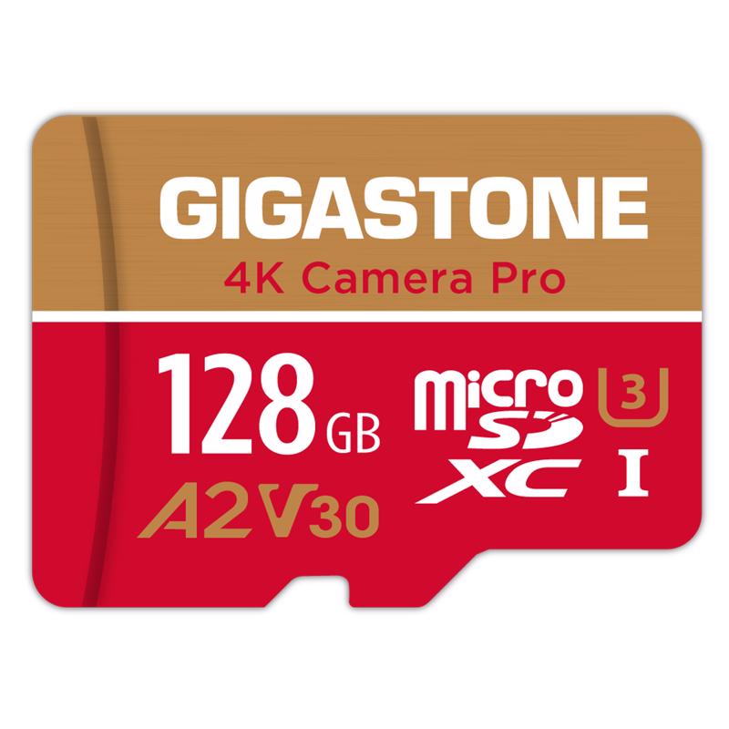 Gigastone SD Flash Memory Card 1 pk