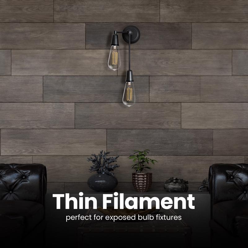 Feit ST19 E26 (Medium) Filament LED Bulb Soft White 40 Watt Equivalence 2 pk