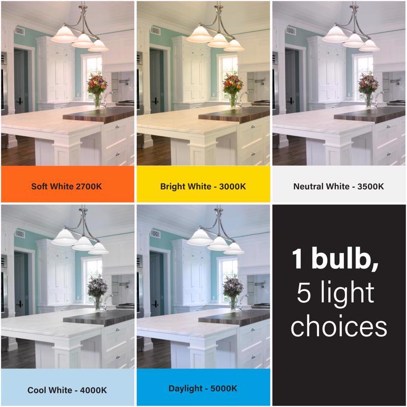 Feit A19 E26 (Medium) LED Bulb Adjustable White 75 Watt Equivalence 2 pk