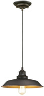 Westinghouse 6344700 Iron Hill Indoor Pendant Light, 120 V, 1-Lamp, Incandescent, LED Lamp, Metal Fixture