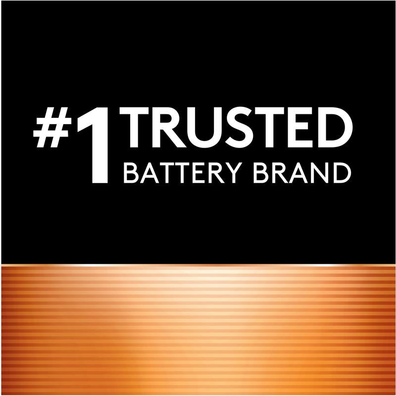 Duracell Silver Oxide 379 1.5 V 16 mAh Electronic/Watch Battery 1 pk