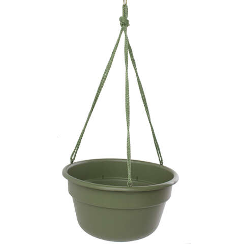 Bloem 6.8 in. H X 12.5 in. W X 12.4 in. D Resin Dura Cotta Hanging Basket Living Green