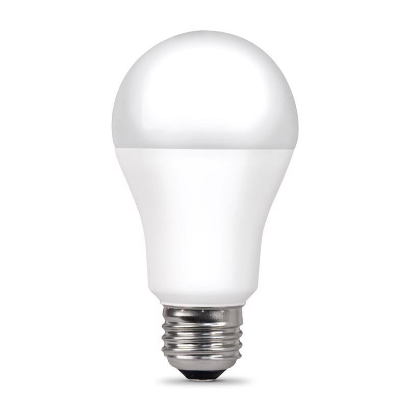 Ace A19 E26 (Medium) LED Bulb Daylight 100 Watt Equivalence 2 pk, Pack of 6