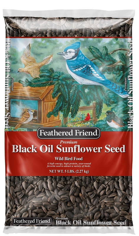 Feathered Friend 14416 Black Oil Sunflower Seed, 5 lb Bag