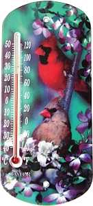 Taylor 5204 Thermometer, 1/2 x 4 x 8 in Dimensions, -40 to 120 deg F