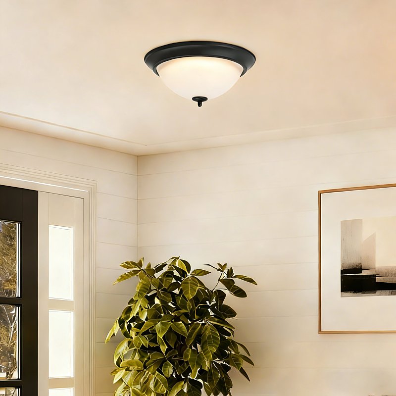 Boston Harbor OG24003 Ceiling Light, LED Lamp, Matte Black Fixture