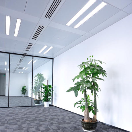 Feit Legacy Bulbs 17 W T8 1 in. D X 23.8 in. L Fluorescent Bulb Cool White Linear 4100 K 2 pk, Pack of 6