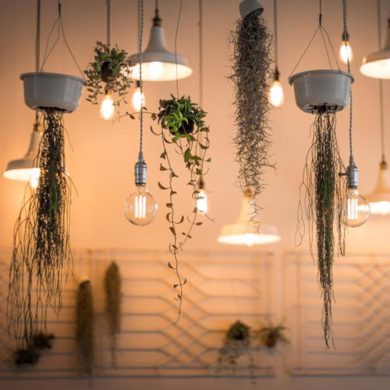 Feit ST15 E12 (Candelabra) Filament LED Bulb Amber Soft White 25 Watt Equivalence 1 pk