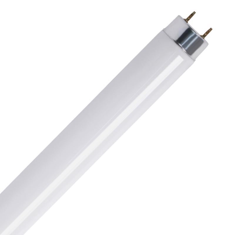 Feit Legacy Bulbs 18 W T8 1 in. D X 23.8 in. L Fluorescent Bulb Cool White Linear 4100 K 1 pk, Pack of 6