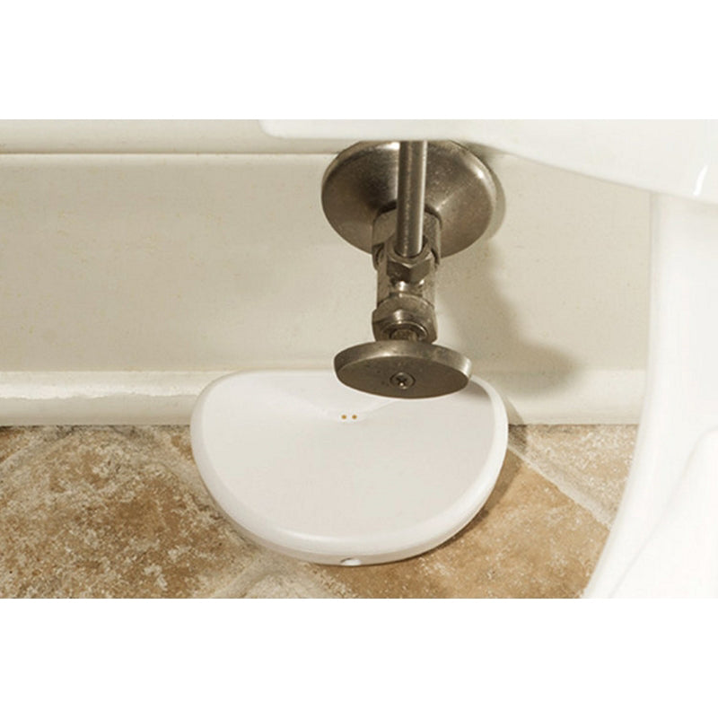 Guardian Leak Prevention System