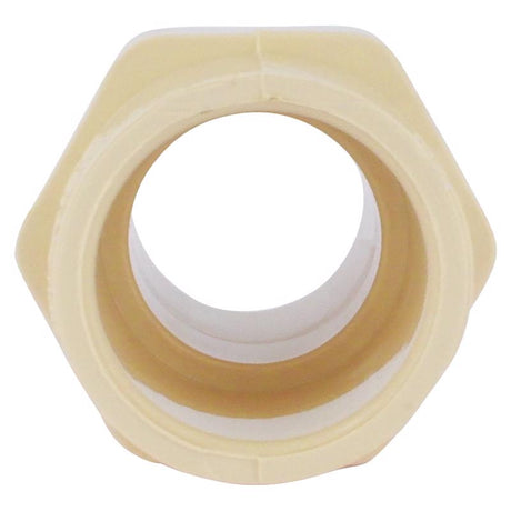 Charlotte Pipe FlowGuard Schedule 40 3/4 in. Socket X 3/4 in. D MNPT CPVC Adapter 1 pk, Pack of 25