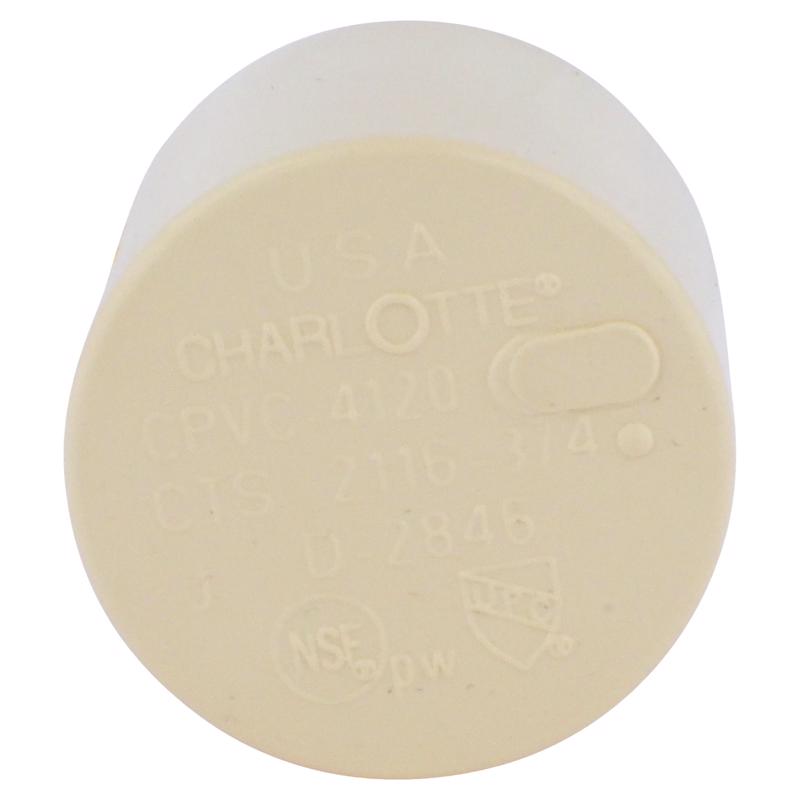 Charlotte Pipe FlowGuard 3/4 in. Hub CPVC Cap 1 pk, Pack of 25