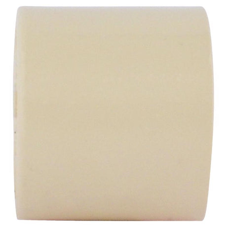 Charlotte Pipe FlowGuard 1/2 in. Hub CPVC Cap 1 pk, Pack of 25