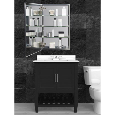 Zenna Home 26 in. H X 15 in. W X 5 in. D Rectangle Medicine Cabinet/Mirror