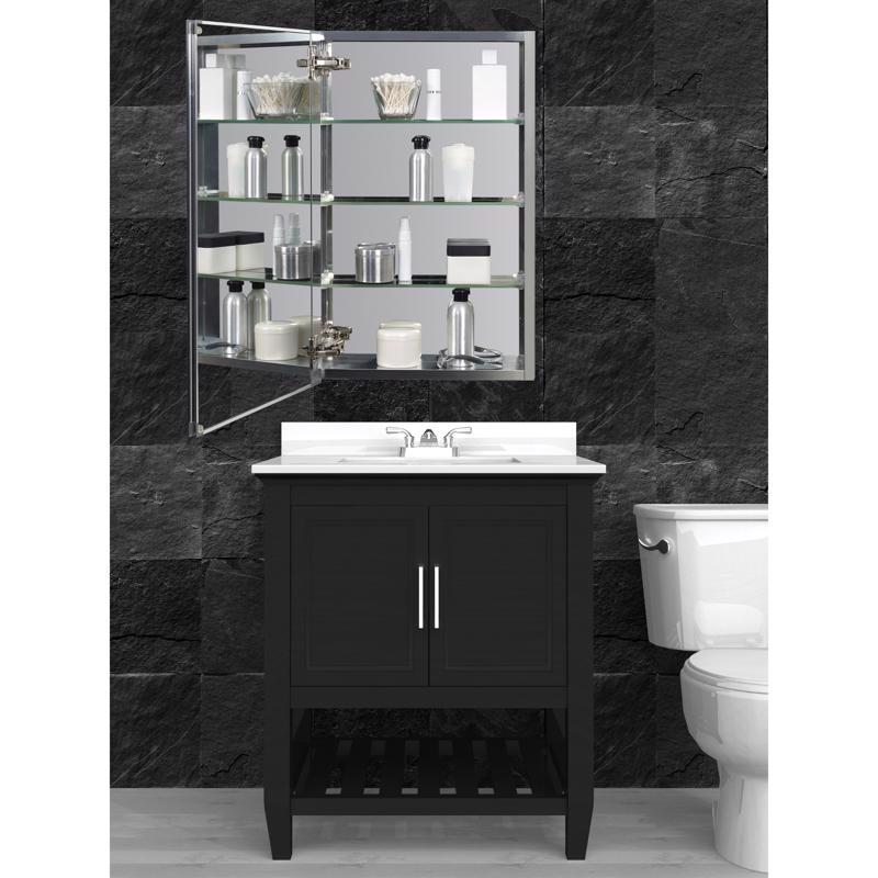 Zenna Home 26 in. H X 15 in. W X 5 in. D Rectangle Medicine Cabinet/Mirror