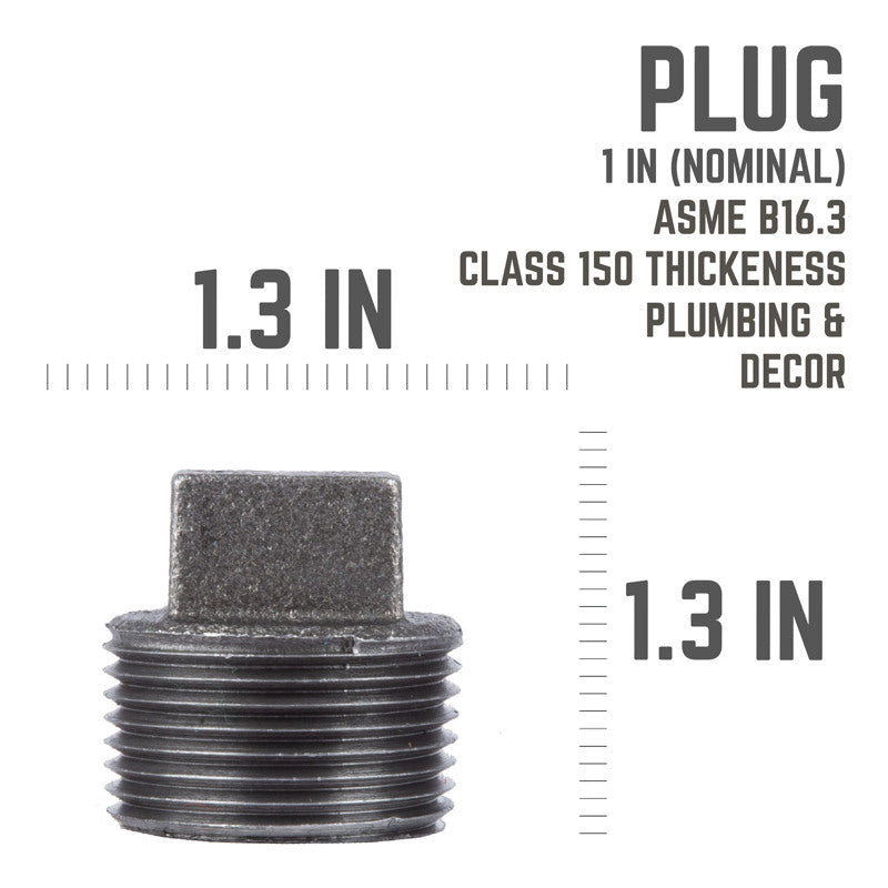 STZ Industries 1 in. MIP each Black Malleable Iron Plug