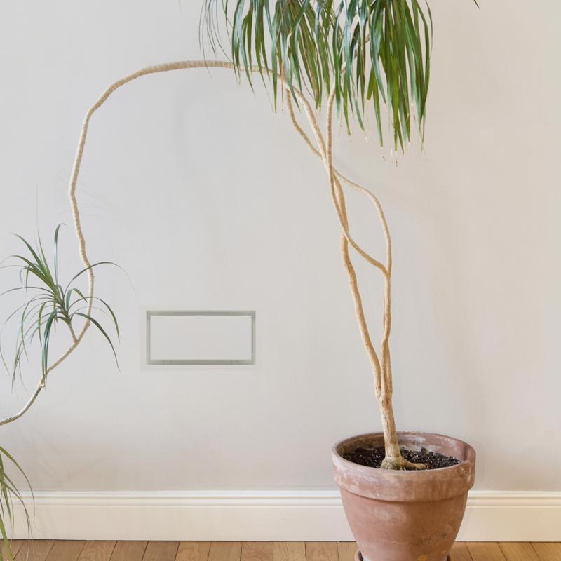 Fittes Aria Vent 10 in. H X 14 in. W Satin White ABS Plastic Wall/Ceiling Air Vent Return