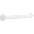 Delta 25.85 in. L ADA Compliant Stainless Steel Grab Bar