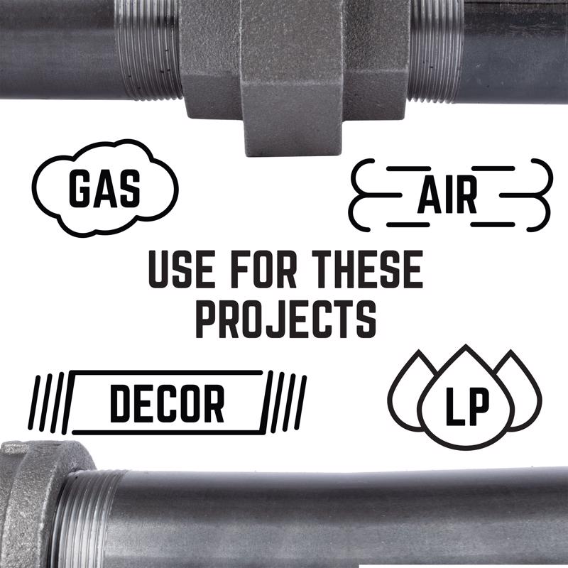 STZ Industries 2 in. FIP each Black Malleable Iron Cap