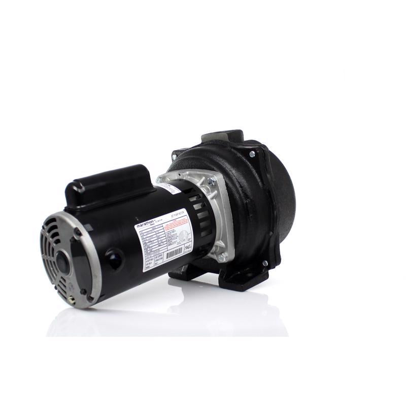 Wayne 2 HP 4200 gph Cast Iron Sprinkler Pump