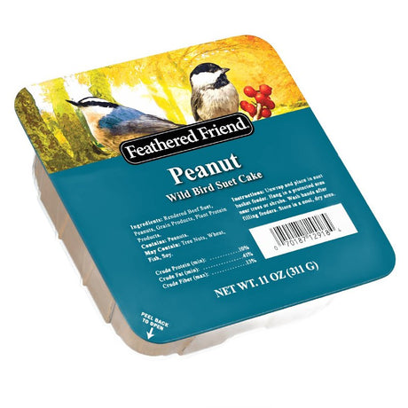 Audubon Park 13830 Peanut Suet, 11 oz