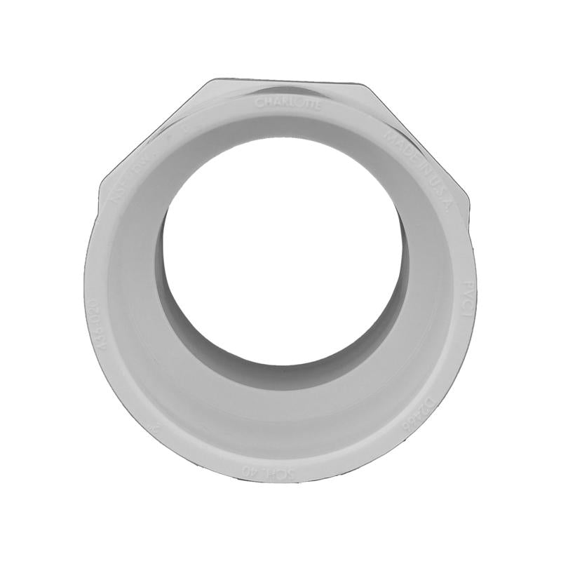 Charlotte Pipe Schedule 40 2 in. Slip X 2 in. D MPT PVC Pipe Adapter 1 pk