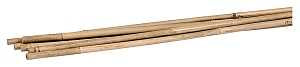 Gardener's Blue Ribbon BB5N Plant Stake, 5 ft L, Bamboo, Natural
