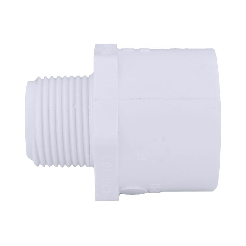 Charlotte Pipe Schedule 40 3/4 in. MPT X 1 in. D Slip PVC Pipe Adapter 1 pk, Pack of 25