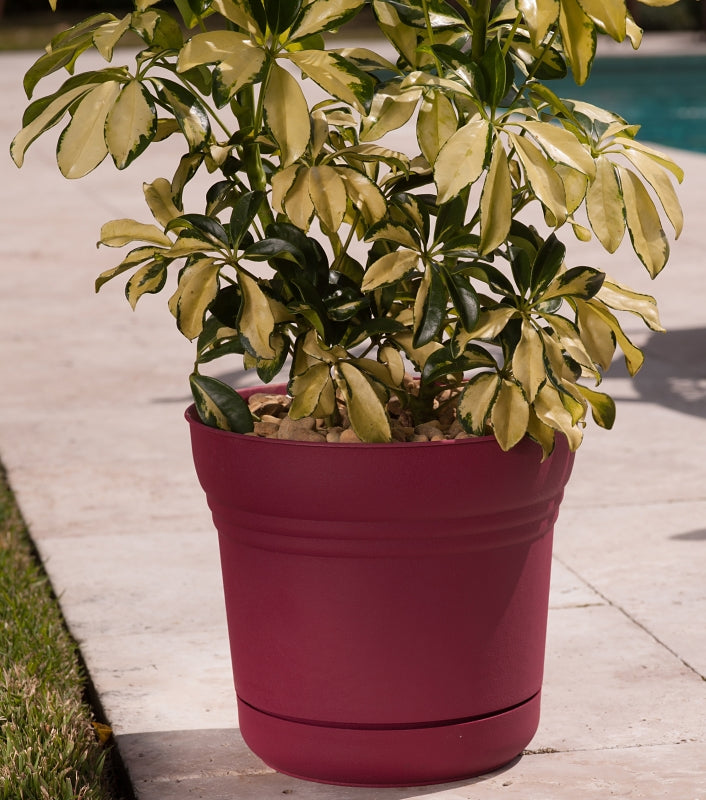 Bloem SP1212 Planter, 12.3 in H, 10.8 in W, Polypropylene, Union Red