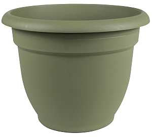 Bloem 20-56406 Planter, 6 in Dia, 5-1/4 in H, 6-1/2 in W, Round, Plastic, Living Green, Pack of 10