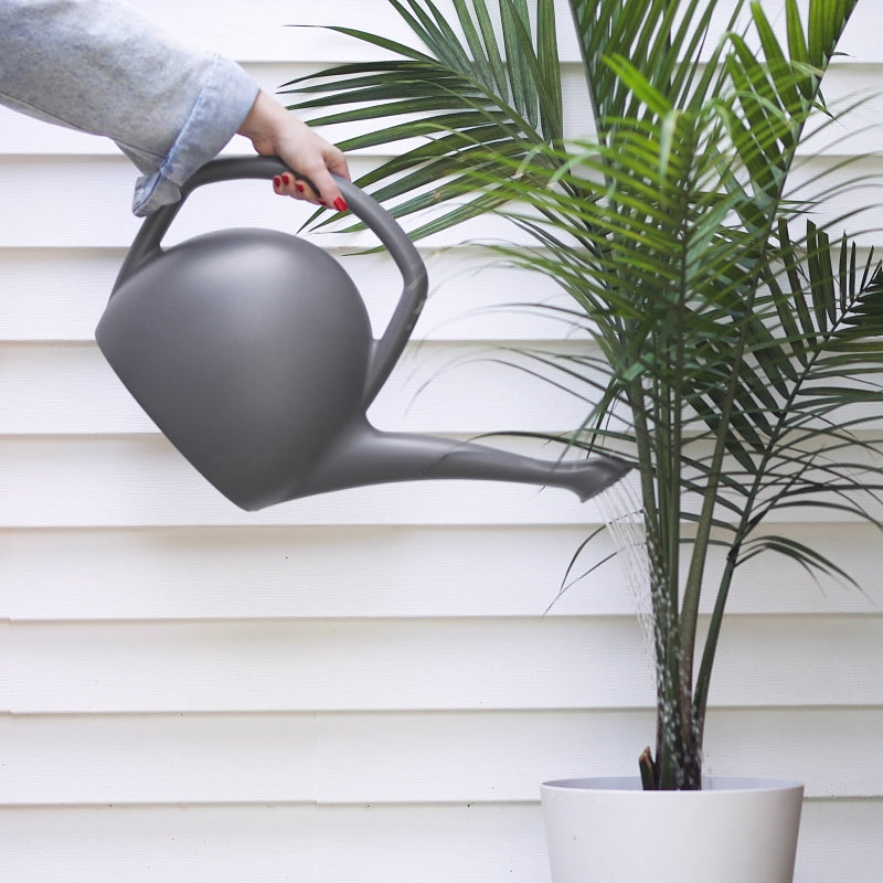 Bloem RWC2-908 Watering Can, 2 gal Can, Rosette Spout, Polypropylene, Gray