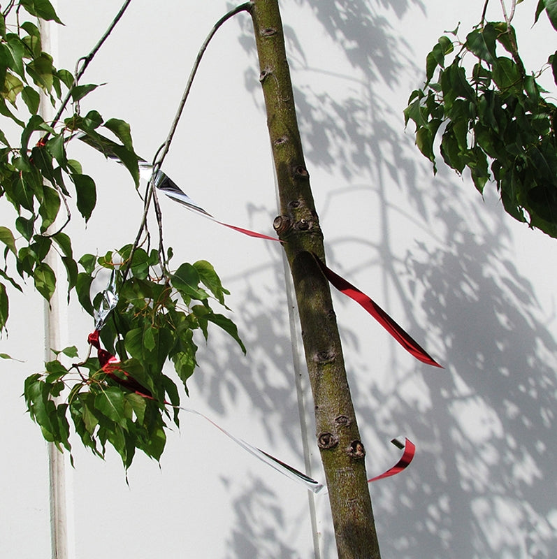 Bird-B-Gone MMFT-050 Flash Tape, 50 ft L, 1 in W, Mylar Backing, Red/Silver