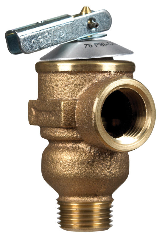 Cash Acme 1/2 in. Bronze Pressure Relief Valve