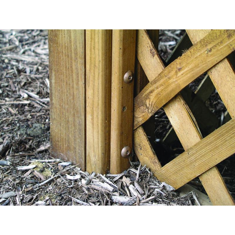 HILLMAN Power Pro 5/16 in. X 6 in. L Star Steel Lag Screw 1 pk, Pack of 40